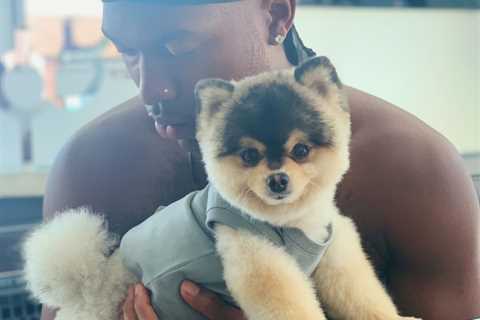 Ex Premier League star Daniel Sturridge ordered to pay £22,400 to man who found his dog