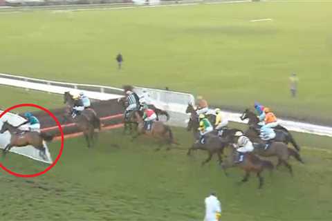 Punters watch in horror as jockey crashes through wing after odds-on favourite’s freak first-fence..