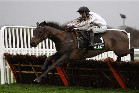 Cheltenham Festival: Constitution Hill MUST be entered for the Champion Hurdle, the race could be..