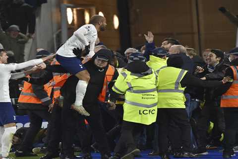 Moura leaps into steward’s arms as Tottenham celebrate last-gasp comeback win at Leicester as..