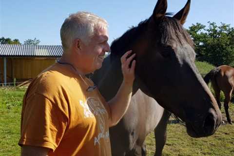 The real-life horse whisperer: Meet the owner who travels in the box with his runners as part of..