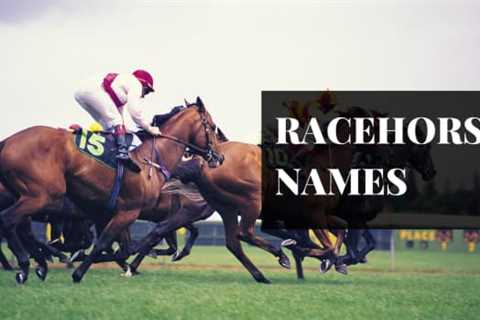Rules About Racehorse Names