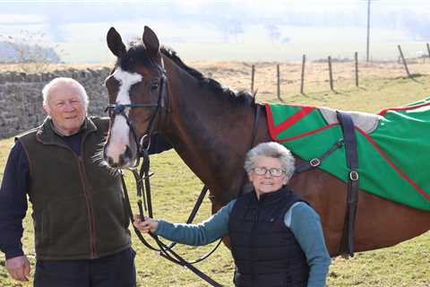 ‘It’s in the water!’ – Meet the pensioner farmer couple ready to take on best at Cheltenham..