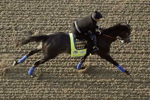 What You Need to Know About the Kentucky Derby