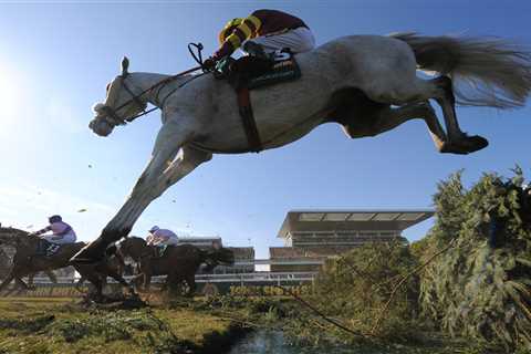 What grey horses are running in the Grand National 2022 and when was the last time a grey horse won?