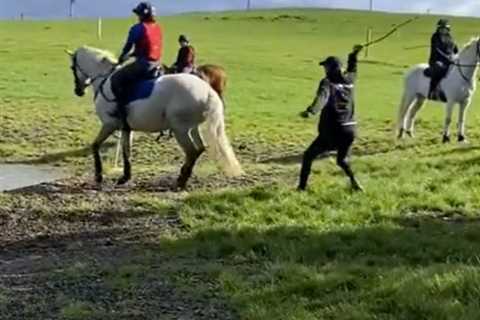 Sir Mark Todd free to resume training just TWO months after shocking video of him hitting a horse..