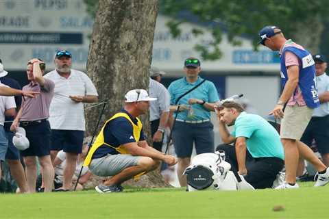 Aaron Wise luckily avoids injury after being hit on the HEAD from wayward Cameron Smith drive as he ..