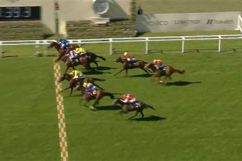 ‘What a race!’ – Royal Ascot viewers stunned as FIVE horses cross line at nearly same time in..