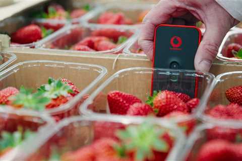 Wimbledon strawberries tracked by high-tech sensors from soil to punnet to ensure they’re served up ..