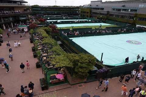 Wimbledon ALREADY suspended within first hour as rain pours and fans wait in soggy queue for..
