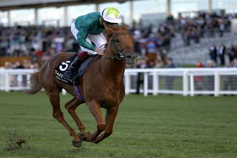 Tragedy for top horse trainer Ralph Beckett as Group 1-winning superstar Scope dies after gallops..