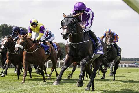 July Cup CONFIRMED runners and riders guide plus Templegate tip for blockbuster Newmarket race