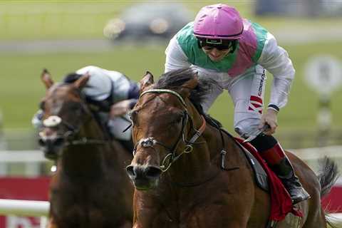 King George runner-by-runner guide and Templegate tip to £1.25MILLION Ascot blockbuster