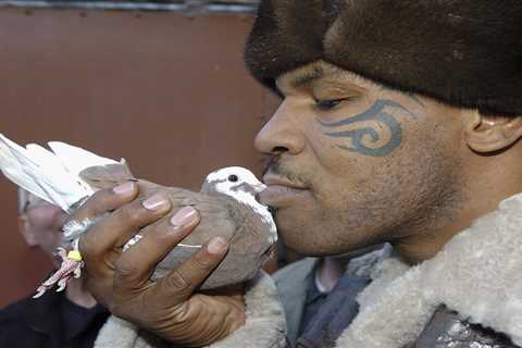 Legend Mike Tyson once KOed a garbage man with ‘titanic right hand’ for putting favourite pigeon in ..