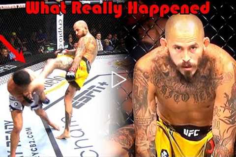 KNOCKOUT!!! What Really Happened (Marlon Vera vs Dominick Cruz)