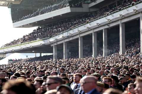 Cheltenham Festival to slash crowd numbers for 2023 but punters doubt it will make any difference
