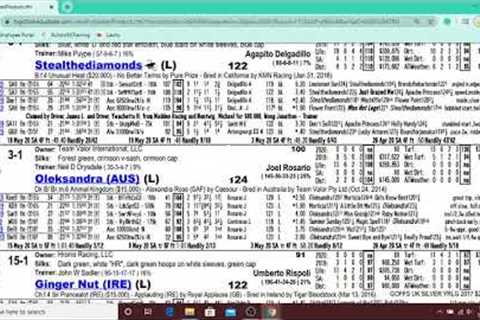 Best Horse Racing Handicapping Tutorial and Tips