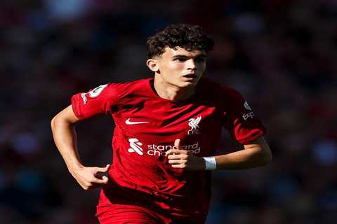 Liverpool’s transfer swoop for Spanish starlet Stefan Bajcetic was smart business and left Man Utd..