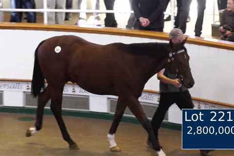 ‘Frankel lookalike’ bought by billionaire Sheikh Mohammed for £2.8m as racing’s transfer window..