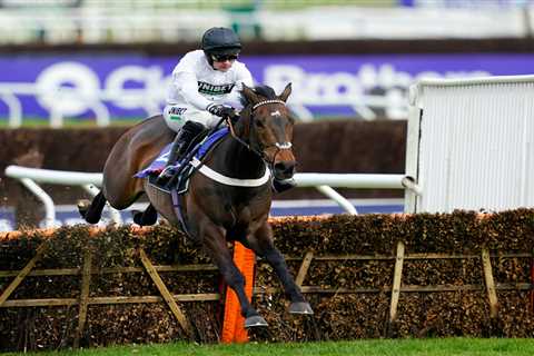 Top jockey Nico de Boinville compares Champion Hurdle contender Constitution Hill to legendary..