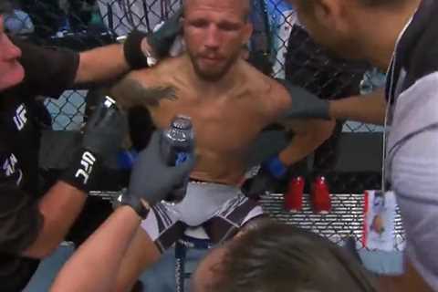 Watch gruesome moment TJ Dillashaw has dislocated shoulder POPPED back in between rounds before..