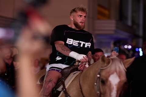 Jake Paul fears his performance against UFC legend Anderson Silva will scare off Conor McGregor..