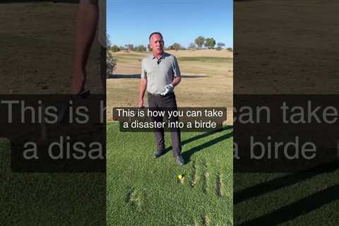 How to Easily Navigate Out of a Divot #shorts #youtubegolf #golfshort #golf