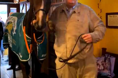 A horse walks into a bar… watch incredible moment top racehorse Hewick goes for a pint at his local ..