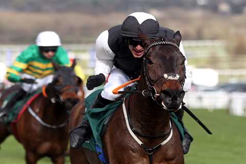 The Cheltenham Festival stars lurking this weekend and why now is the time to back them