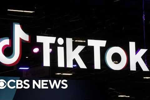 FCC commissioner discusses TikTok''s security threat to U.S.