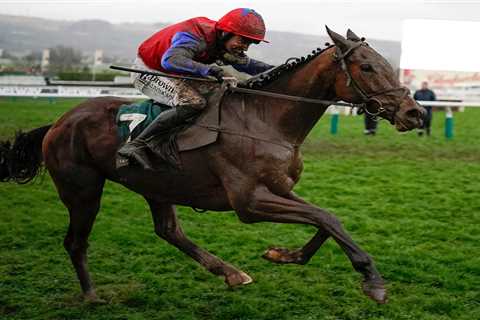 Are these the Cheltenham Festival ante-post bankers? Five stars who look rock solid