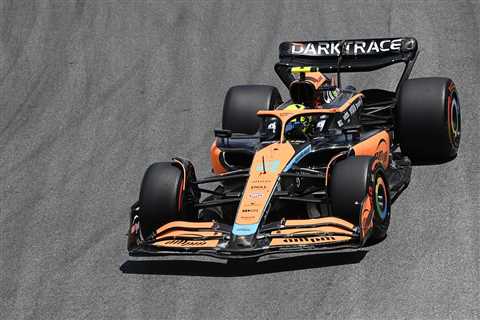 McLaren confident Norris will be fit for F1 Brazilian GP