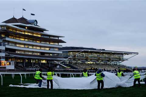 Cheltenham and ALL weekend jumps racing at risk as cold blast with temps dipping to -10C causes..