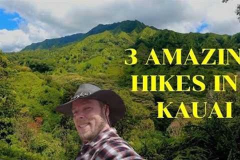 The best free hikes Kauai Hawaii for whale watching mountains and waterfall swimming / hiking trails