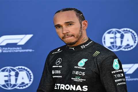 Mercedes chief Wolff calls on FIA boss to meet Lewis Hamilton – to stop F1 driver being BANNED for..