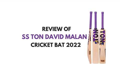 SS TON DAVID MALAN ORIGINAL PLAYER BAT 2022 - REVIEW