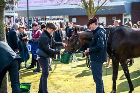 Horse Welfare is the priority in British Racing