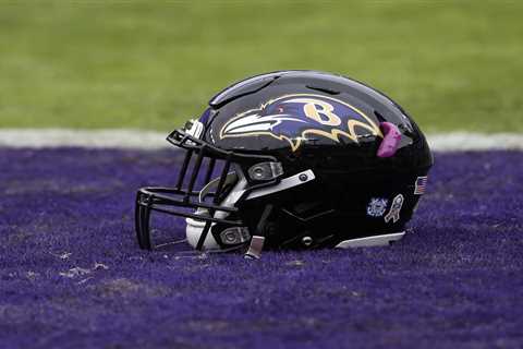 The Ravens Have Released A Veteran DE