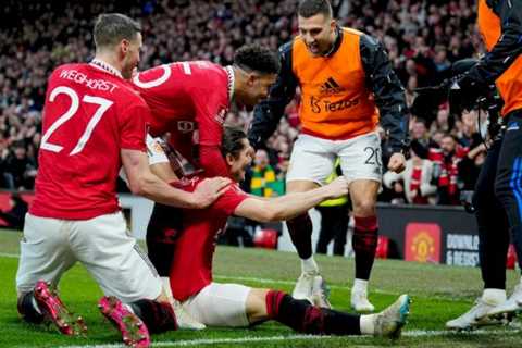 Man Utd 3-1 Fulham: Willian, Mitrovic, Marco Silva sent off as Red Devils come from behind to win