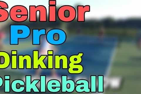 Playing with Senior Pros Pickleball Men's Doubles Rec Game