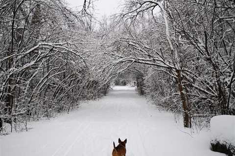 Picturesque Winter Vacation Spots With Frozen Lakes and Ice Fishing