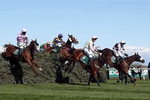 Animal rights protesters try to attack Grand National but shoot themselves in the foot in a weird..