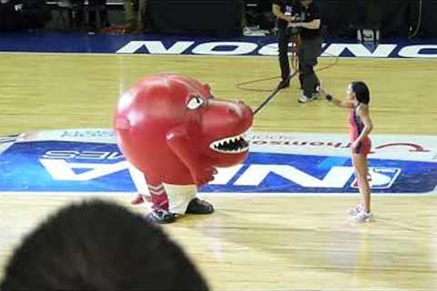 Toronto Raptors mascot eating cheerleader - FUNNY!