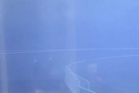 Racing TV viewers left baffled and can’t see their horses as thick fog fills up screen while..