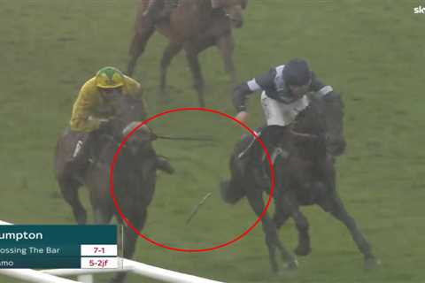 Punters joke this jockey’s ‘dastardly trick’ deserves an award after he accidentally sabotages..