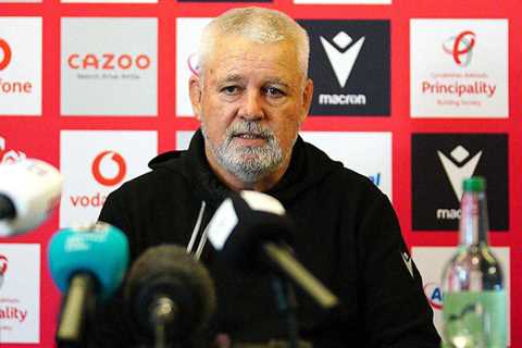 ‘Disappointed’ Warren Gatland explains Joe Hawkins absence from preliminary Rugby World Cup squad