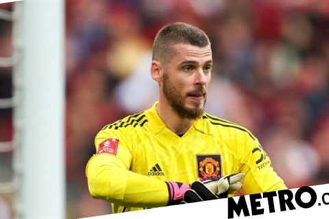 Manchester United identify two replacements for David De Gea