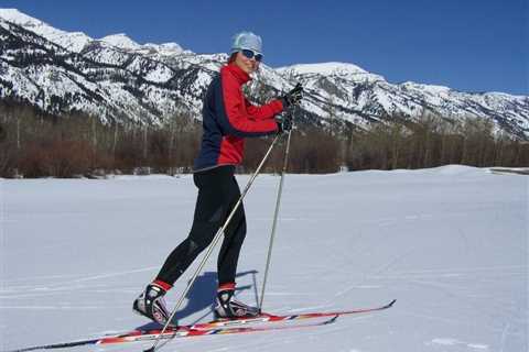 Skiing and Cross-Country Ski Instruction