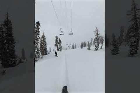 Alpine Meadows 2/24/2023