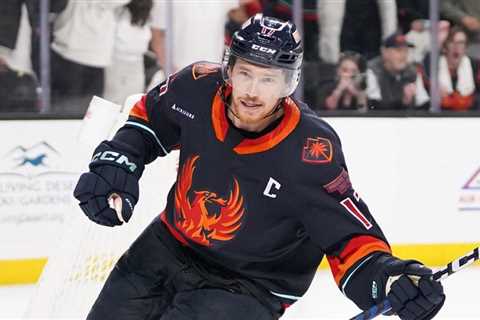 Captain McCormick leading Firebirds to great heights | TheAHL.com